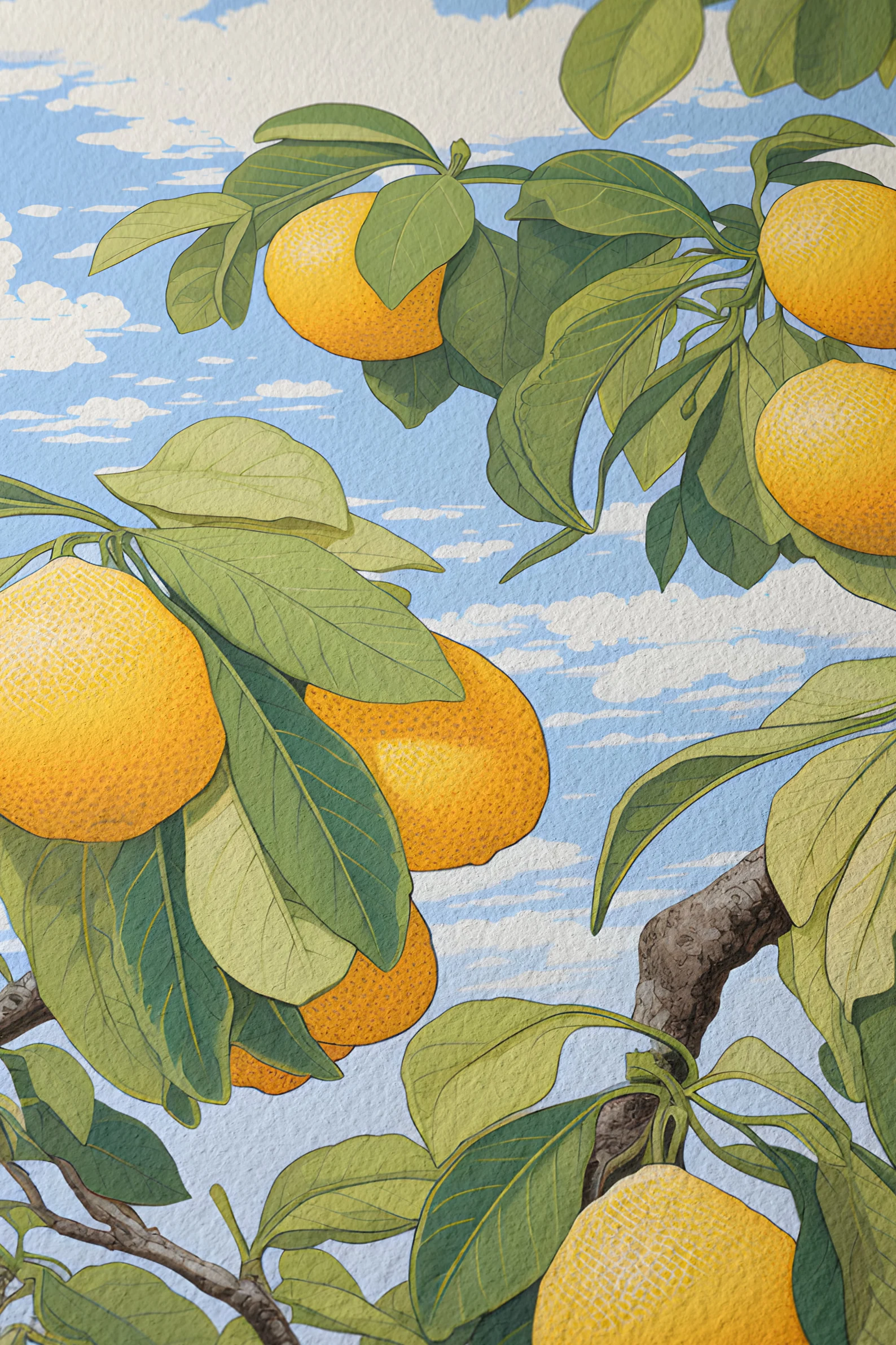 Citrus Maximus