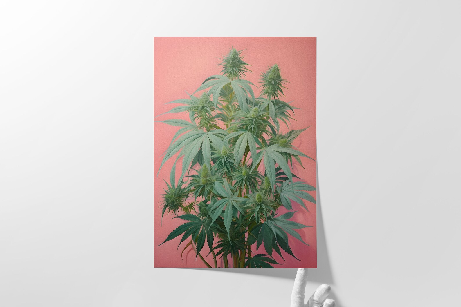 High Society