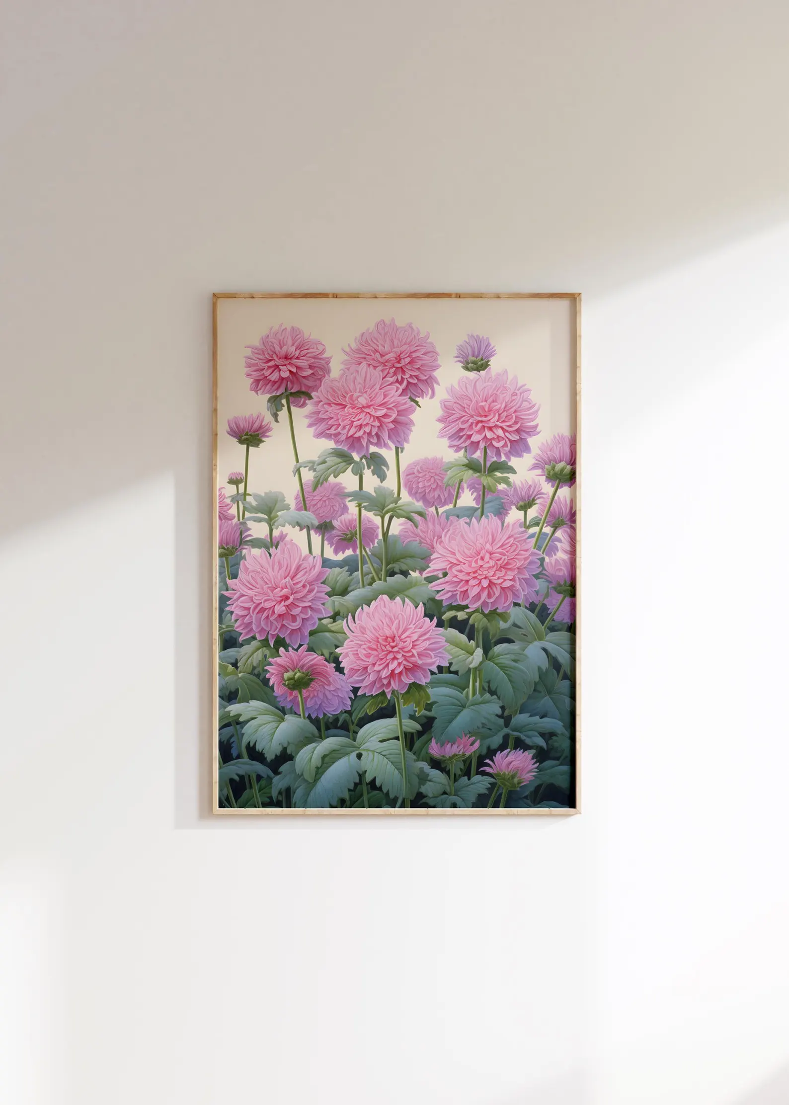 Pink Dahlia